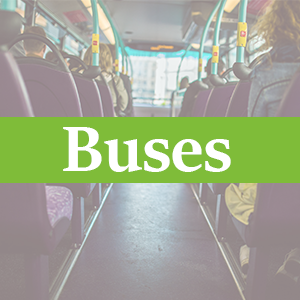 Buses | Boyton Place